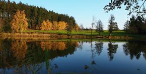 Velký Mirošovský rybník