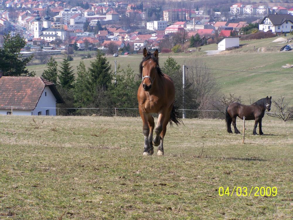 Pohled na Bystřici