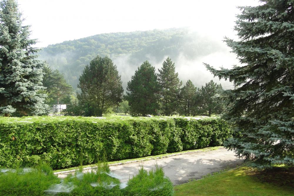 Mlhavé ráno v údolí Svratky