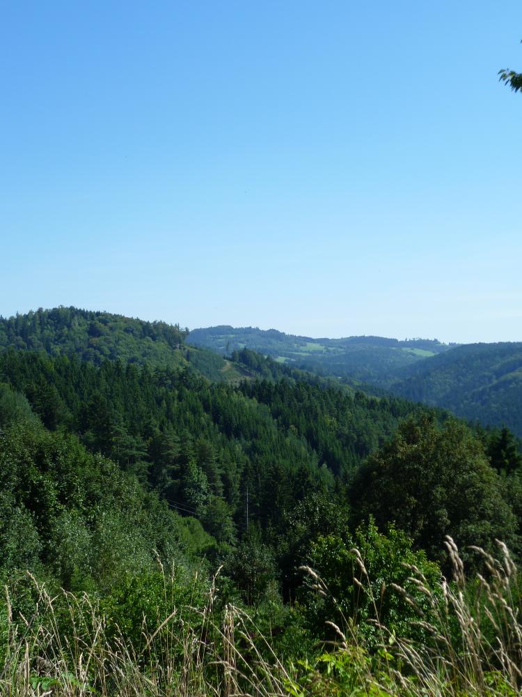 Foceno "Na Americe", pohled na Srstkův kopec, Kocholík, Horničí, Třešinku,