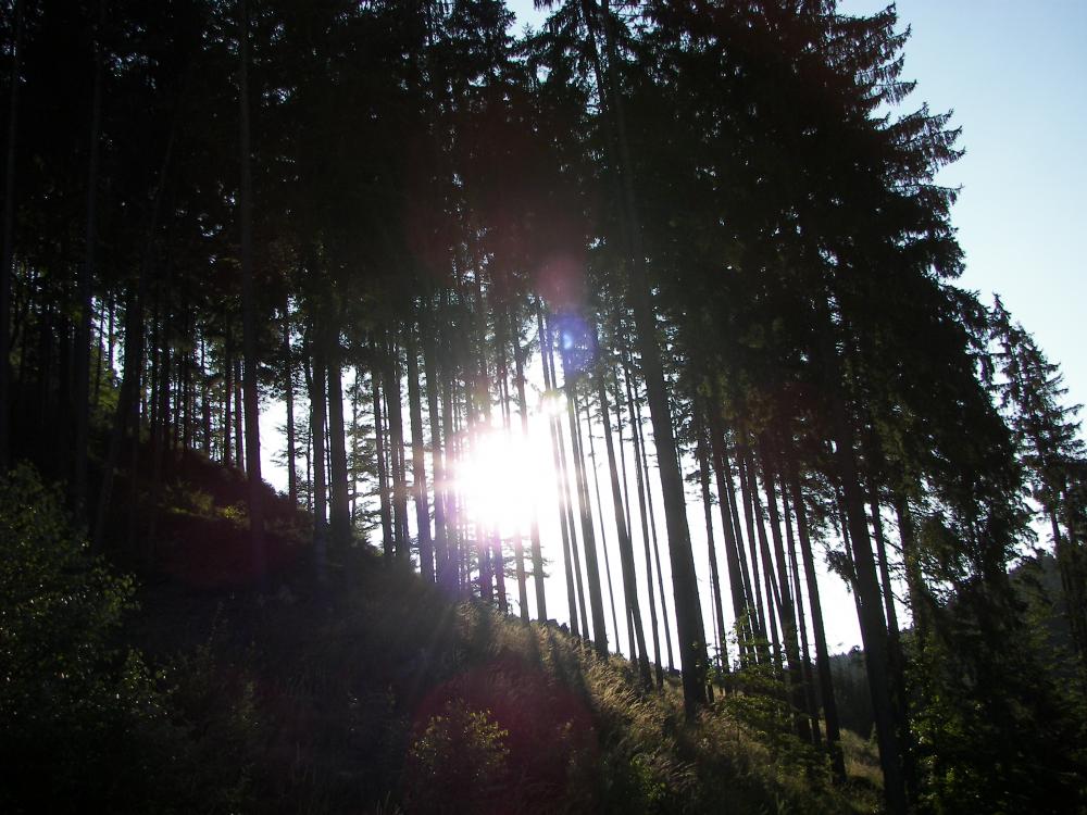 Vpodvečer nad Jitřenkou