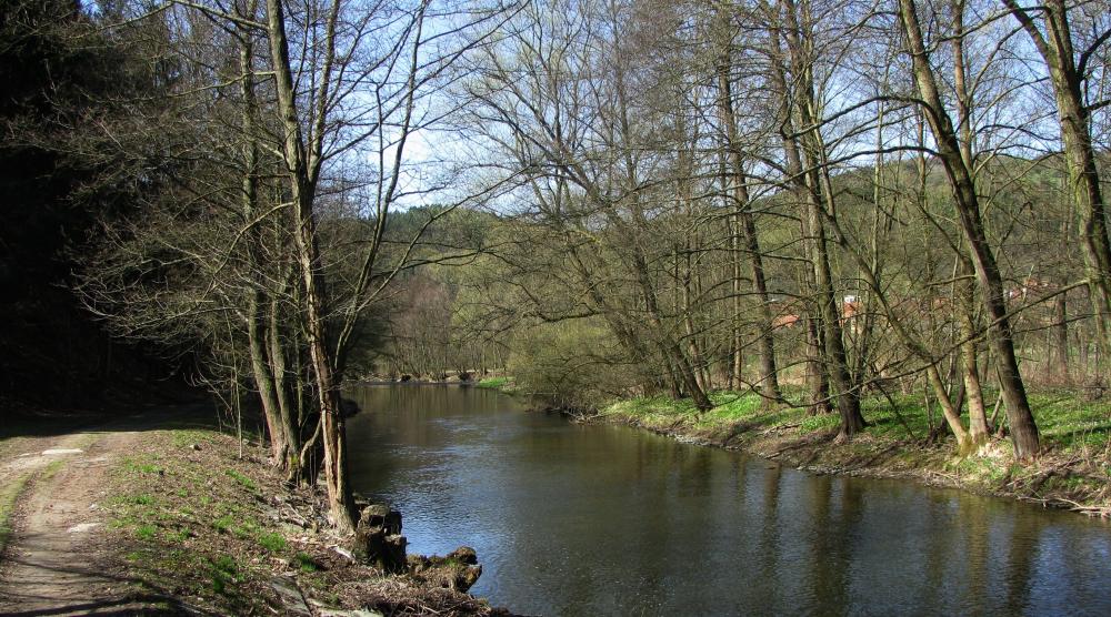 Řeka Svratka ve Štěpánově n.S.