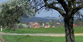 Zvole zjara