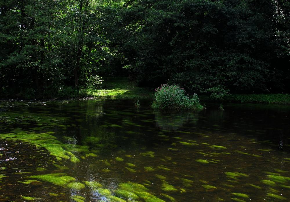 Svratka u Koroužného