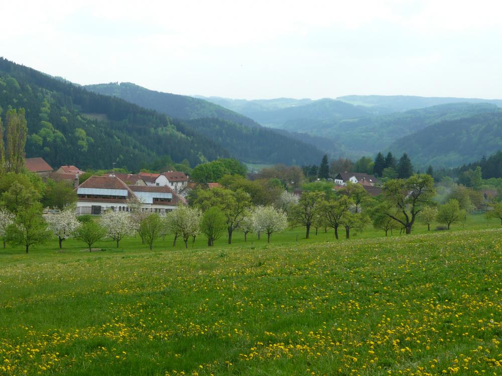 Jarní výhled nad Bolešínem