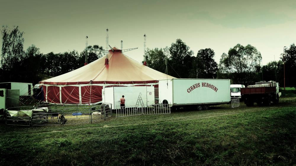 Cirkus Berosini