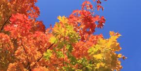 Krásné barvy podzimu