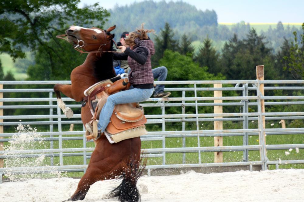 6 Rodeo