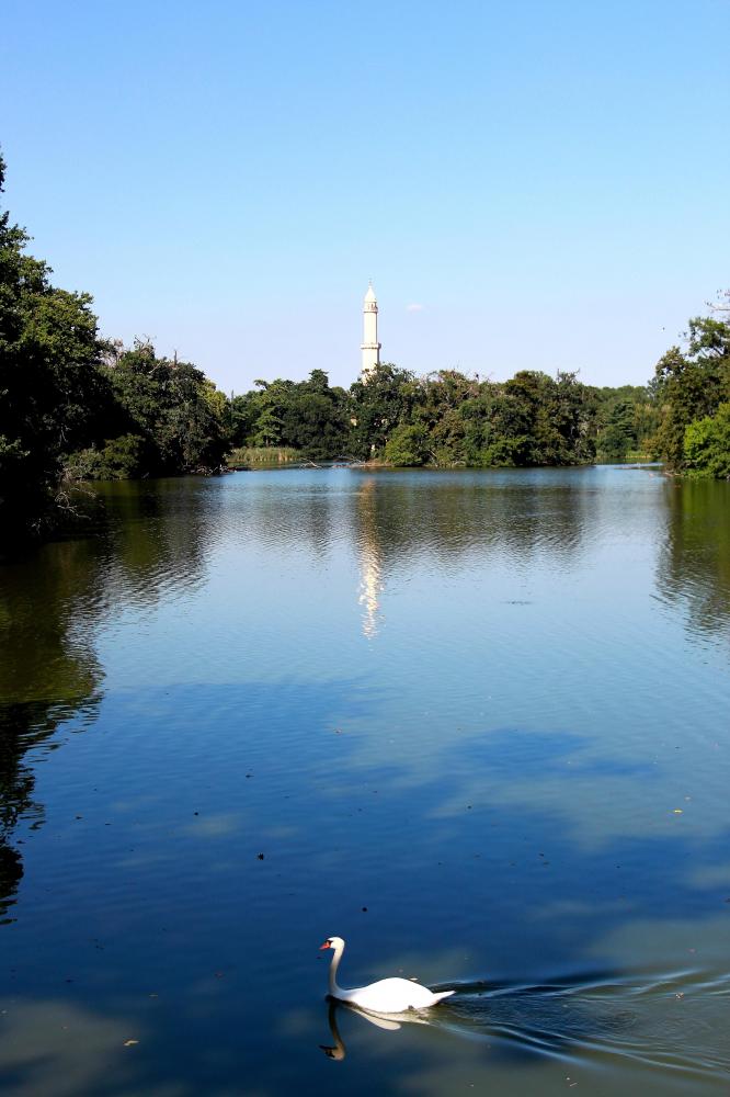 Minaret a labuť