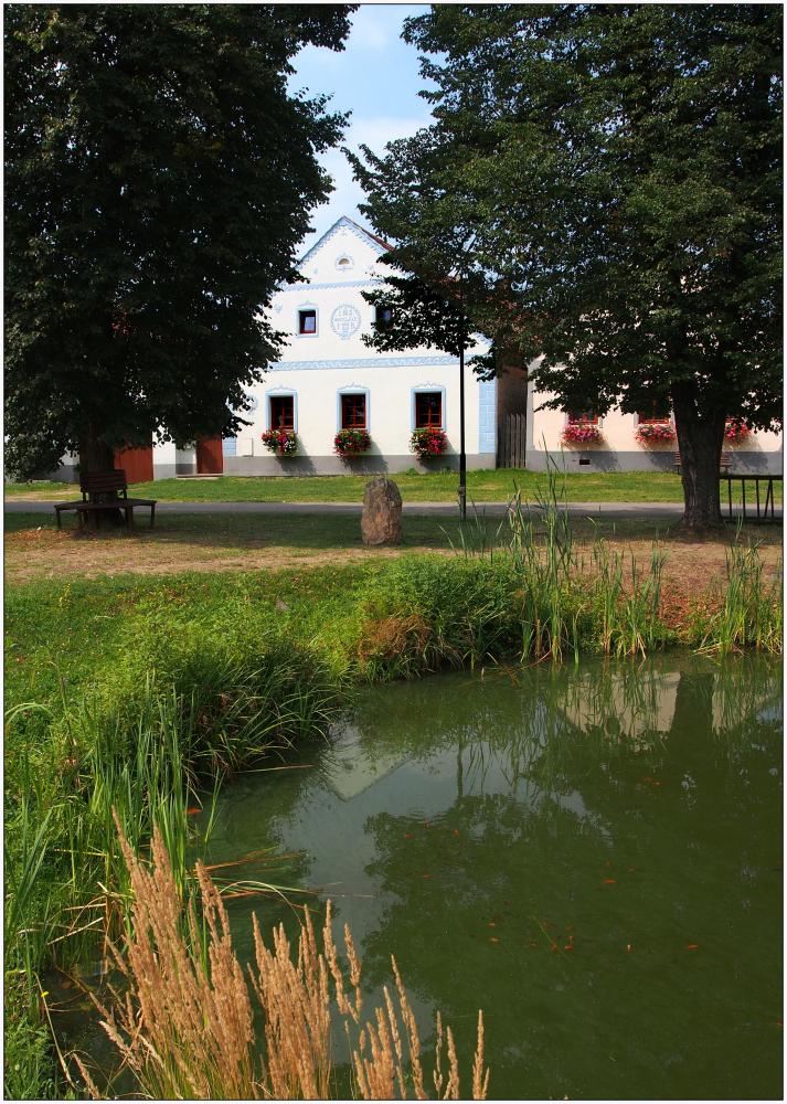 Návesník