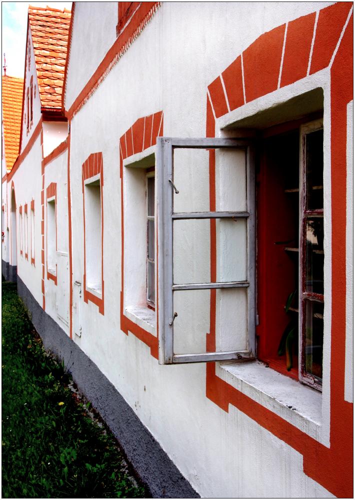 Odryglované