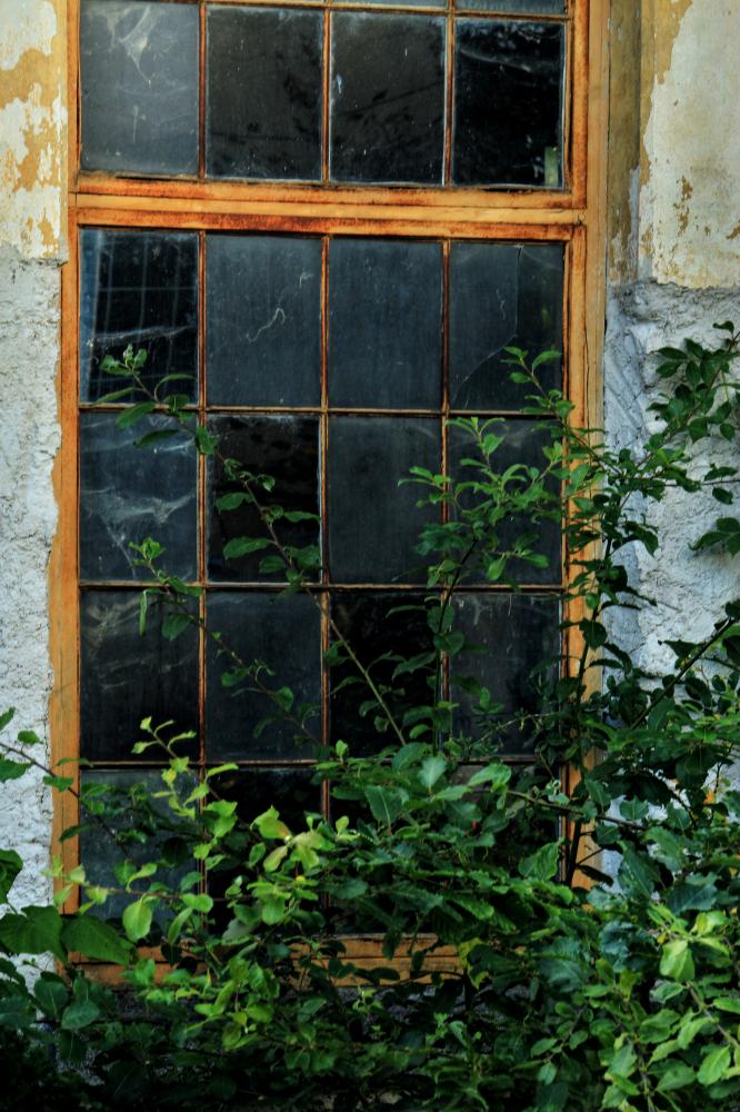 Okno z oken