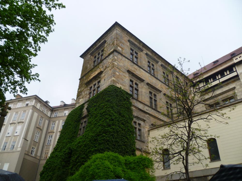 Pražský hrad ze zahrady Na Valech