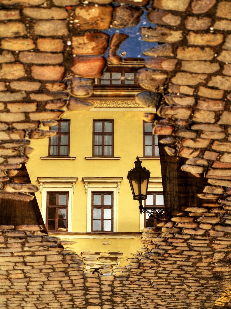 umytá okna