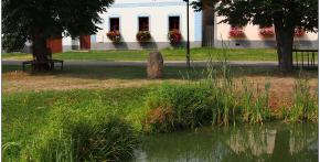 Návesník