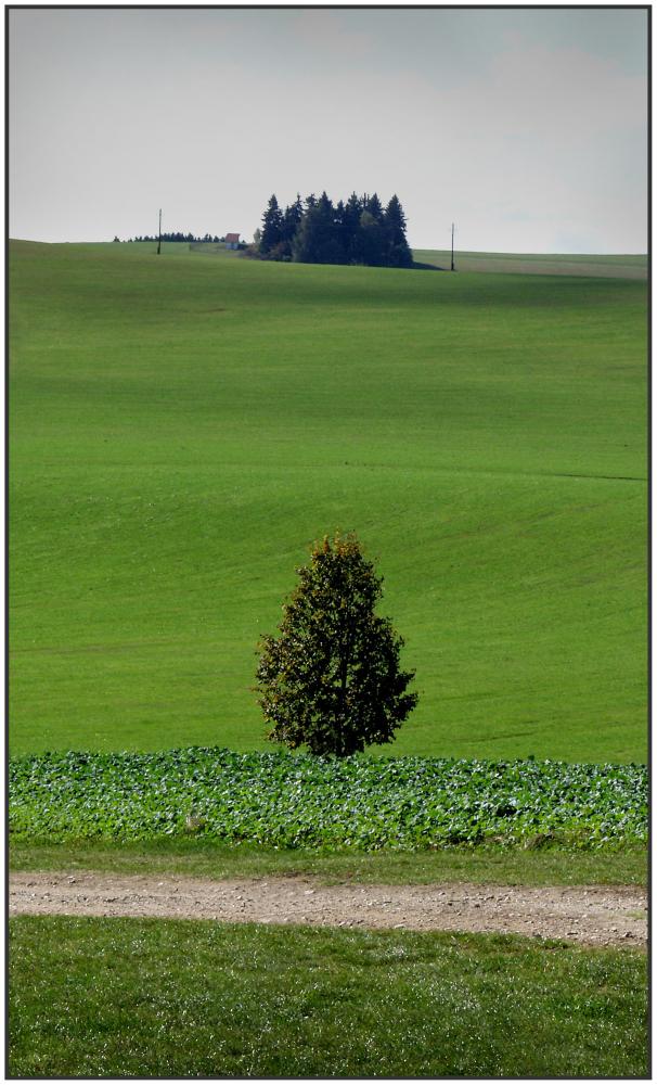 Krajina u Vítochova