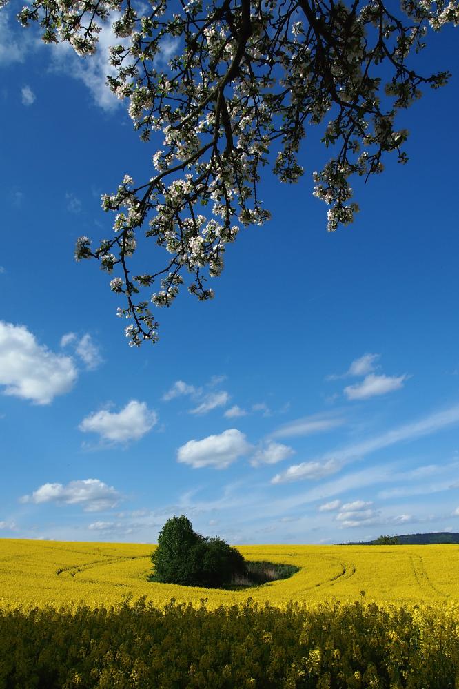 květnová