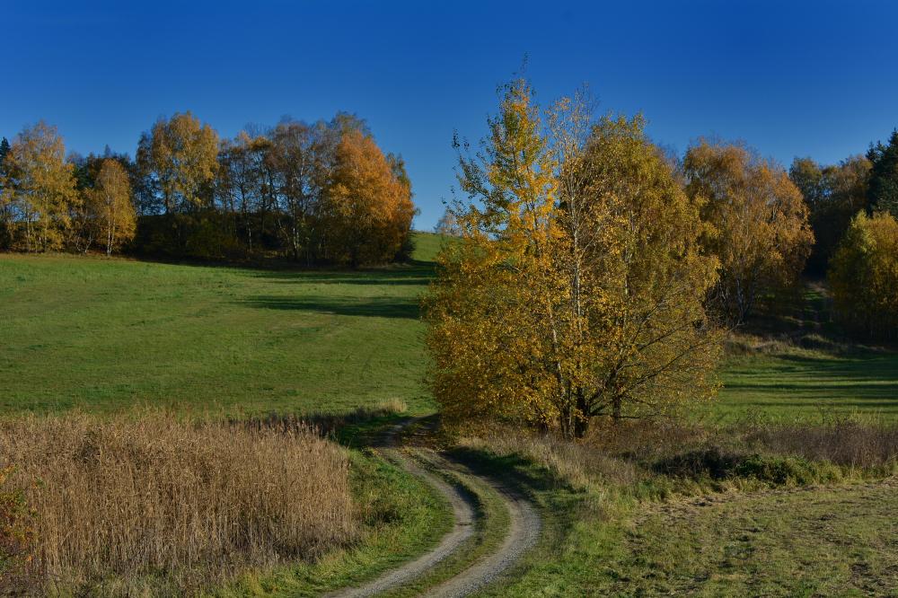 Podzimní toulky