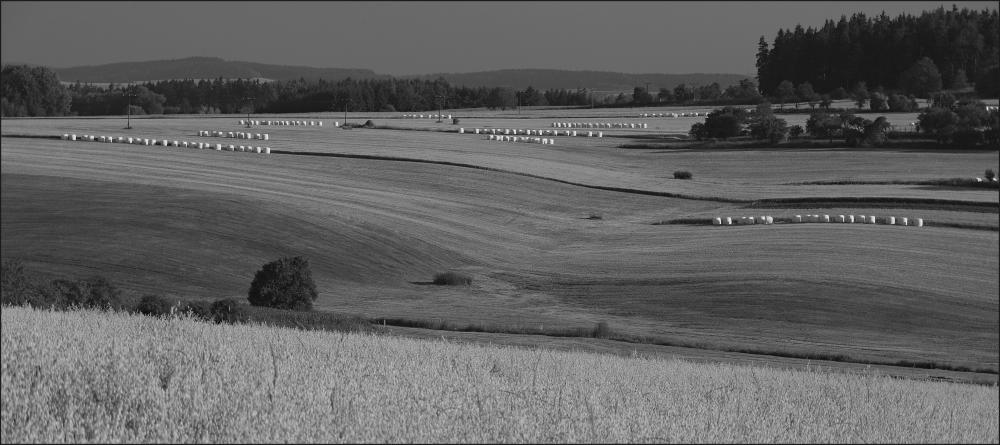sklizeno, zabaleno - Jemnice