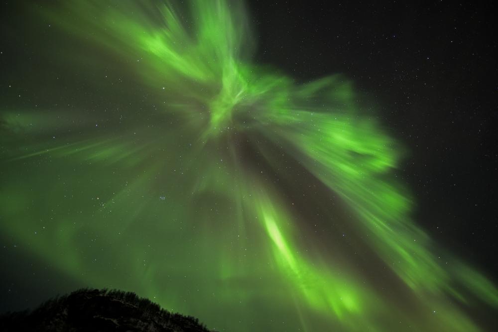 Aurora Corona