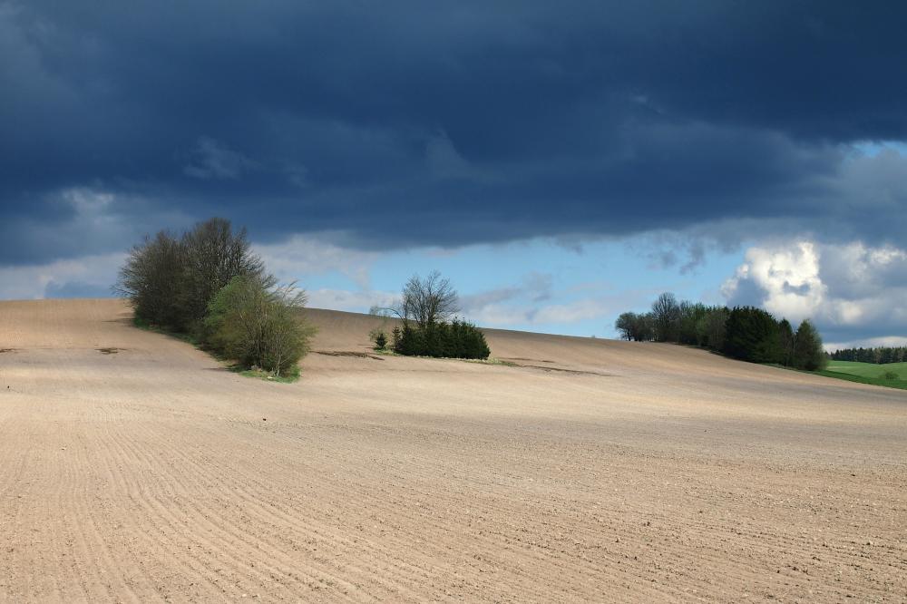 Čekání na vláhu