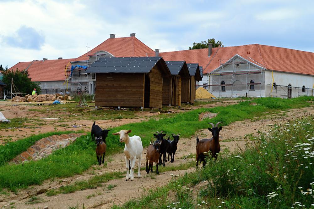 Co se tady děje