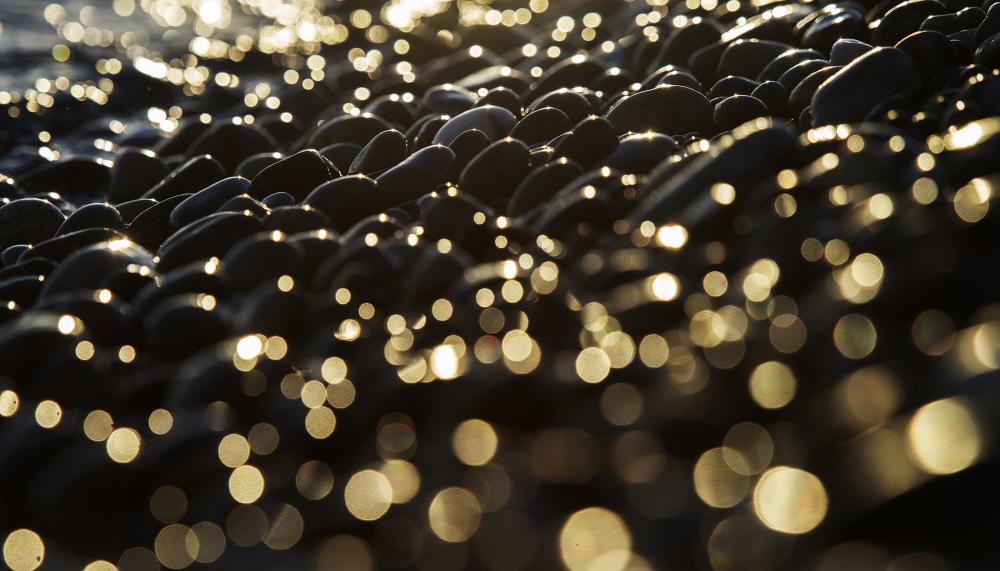 Evening bokeh