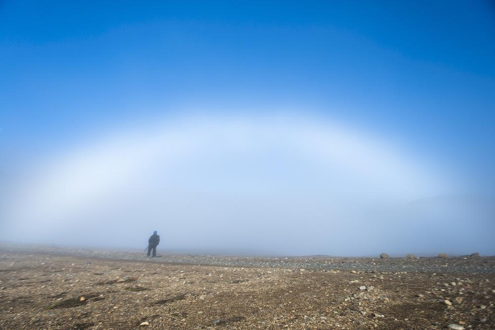 Fogbow