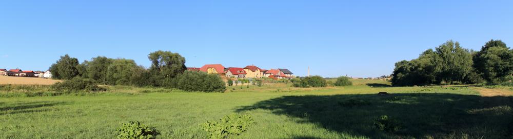 Louka u potoka
