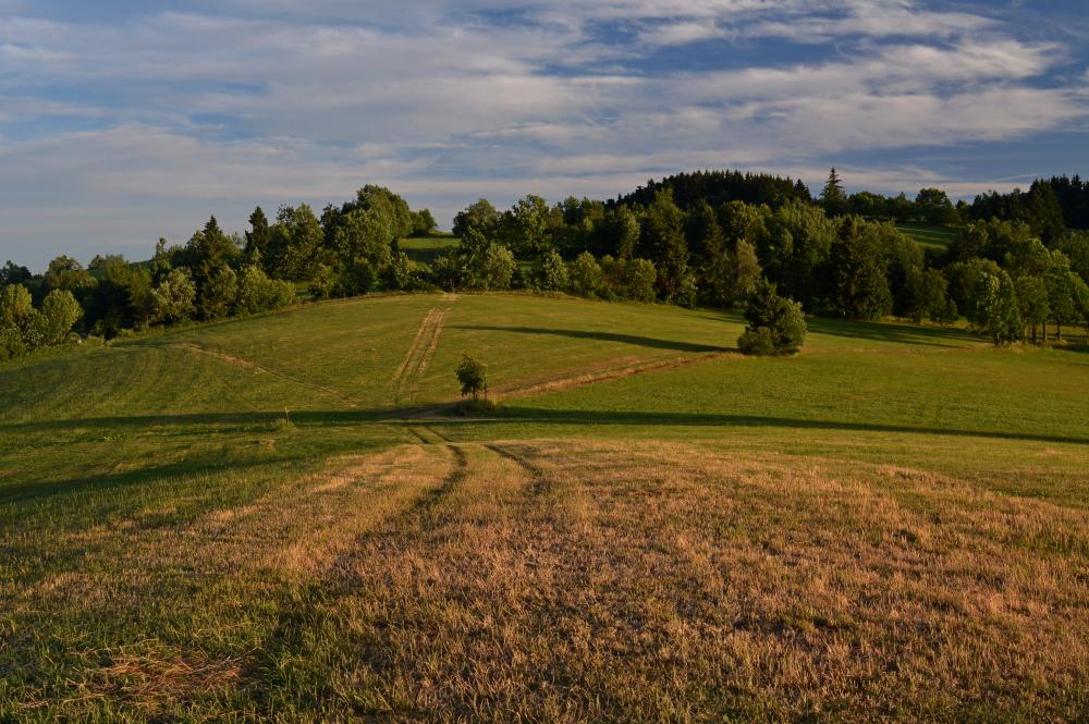 Luční cesty