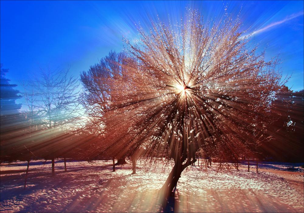 ...slunce a led...