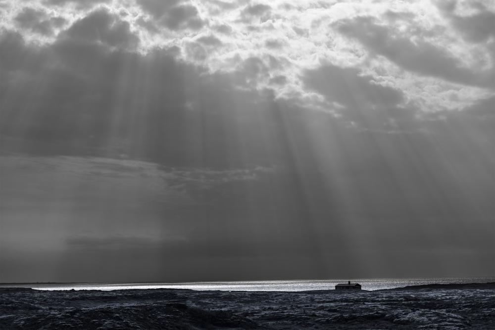 Sunbeams 1