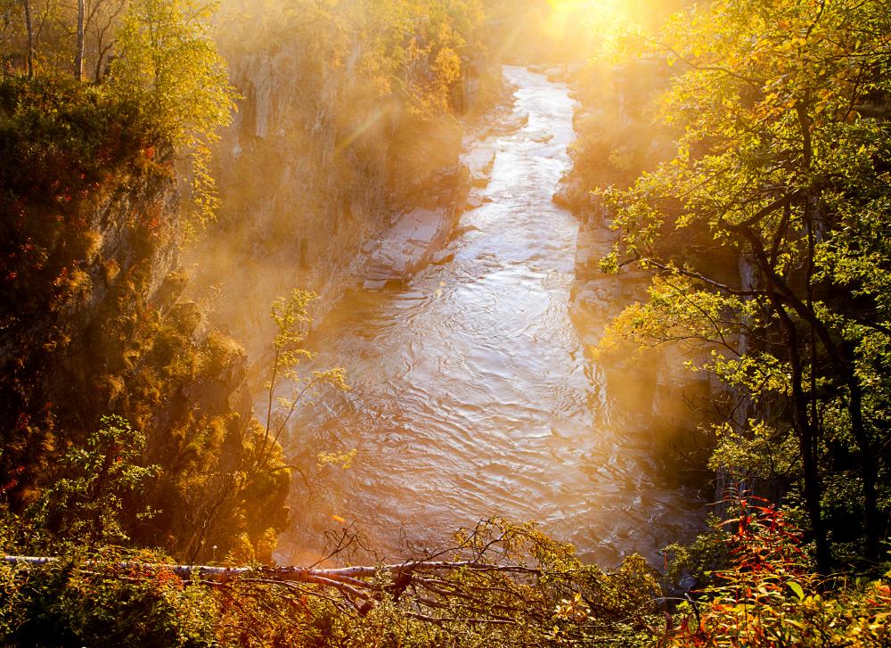 The Light, the Water and the Threes