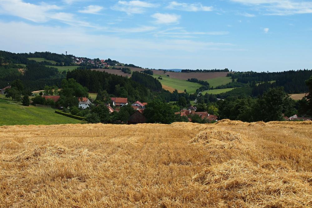 Vítochov a Karasín o Žních