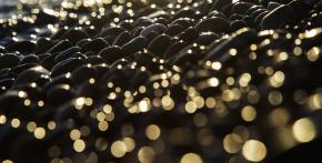 Evening bokeh