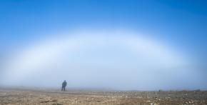 Fogbow