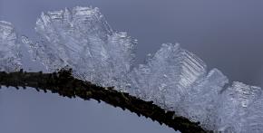Hoarfrost