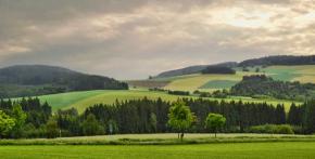 Krajina po dešti