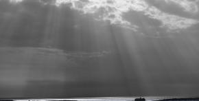 Sunbeams 1