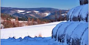 Svratecká hornatina