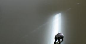 The Light of Wisdom