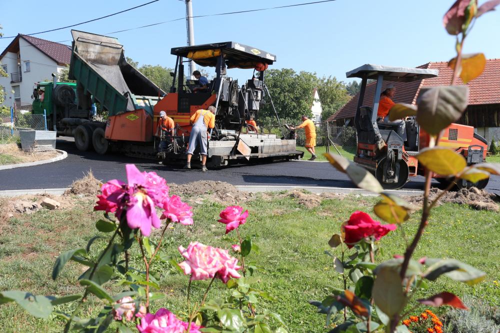 Květiny obdivující novou silnici