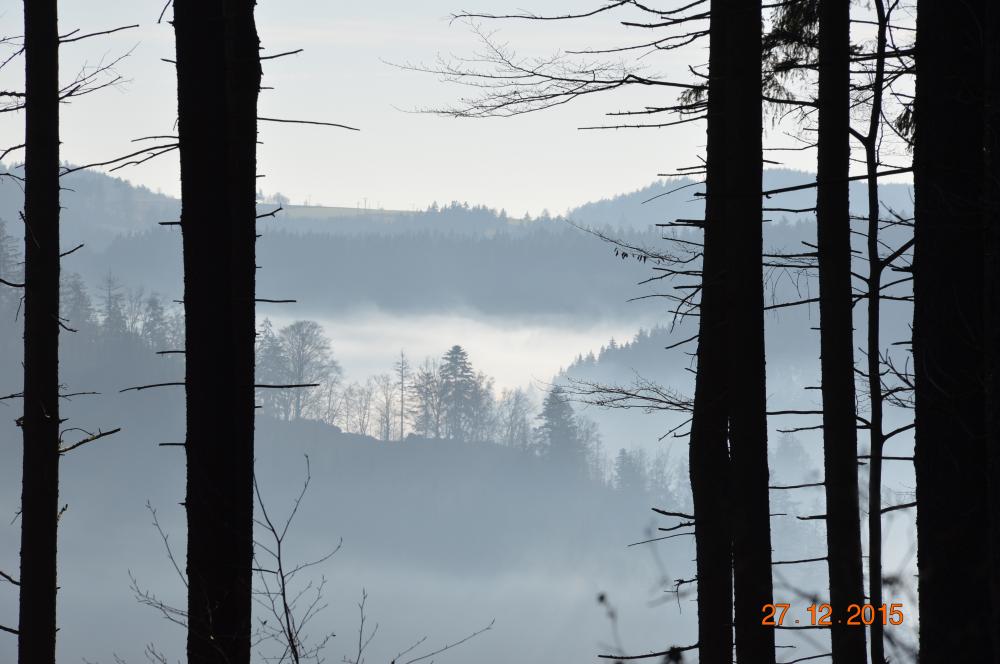 Mlha nad Vírskou přehradou