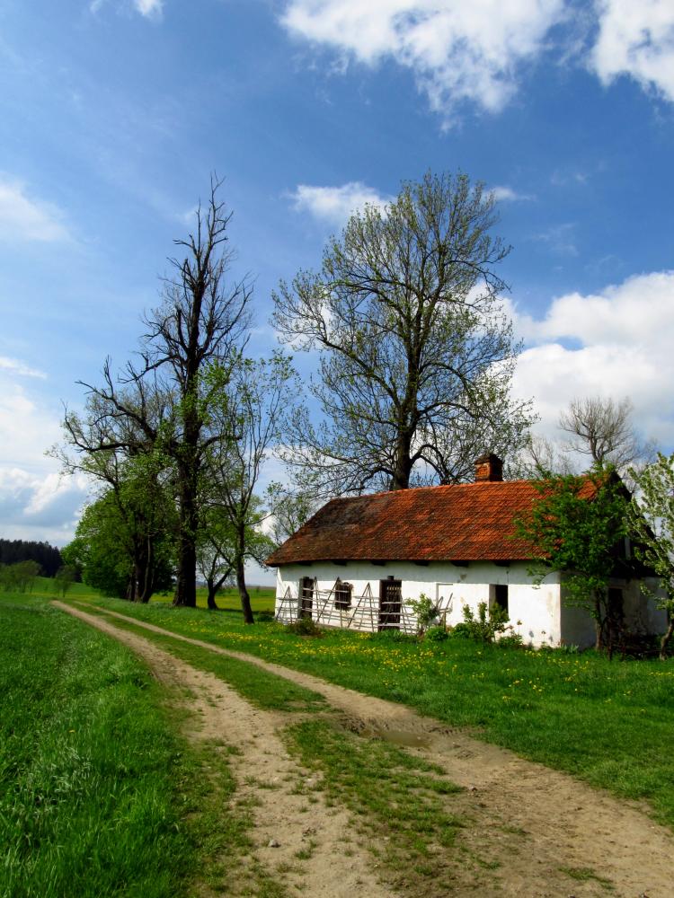 cestičkou k domovu