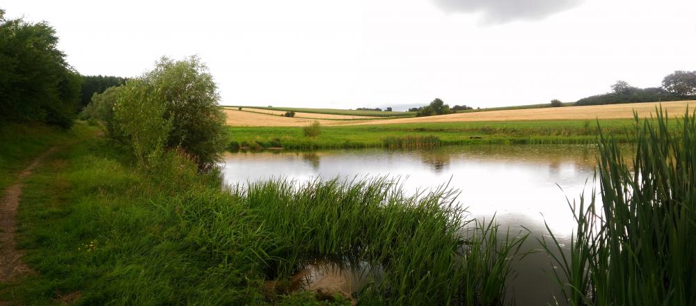 Panorama - Rácová