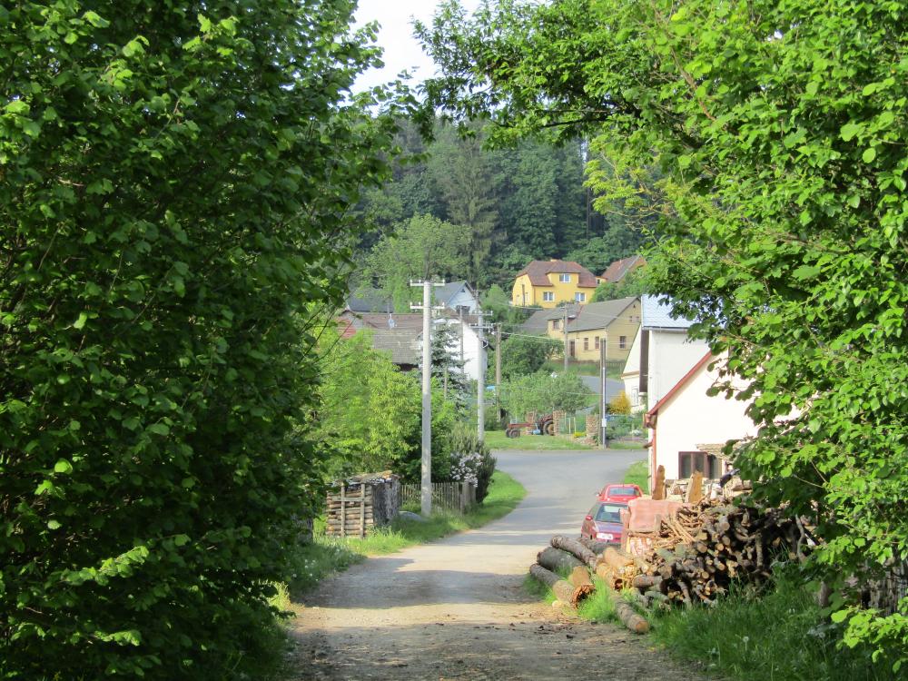 Cesta domů