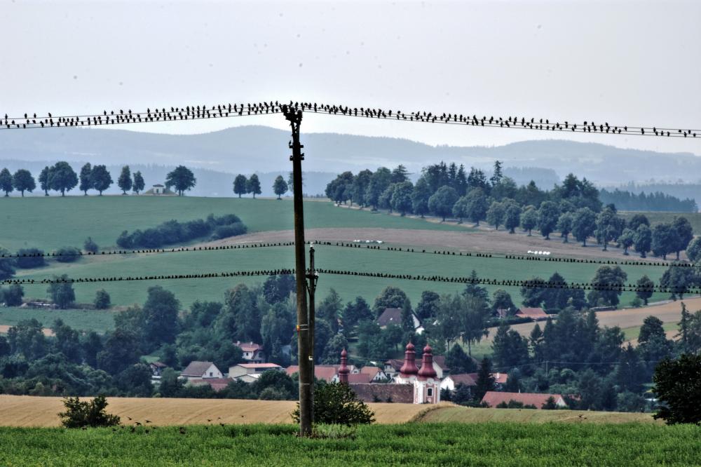 Klid před bouří