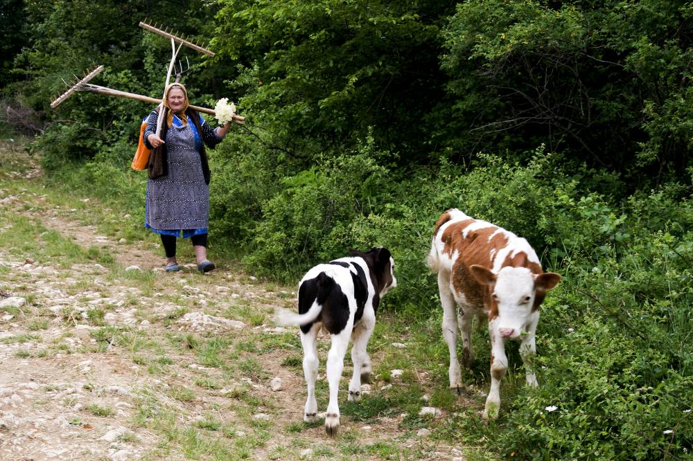 Návrat z pole II