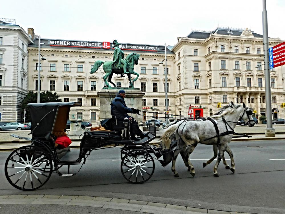 Není kůň jako kůň