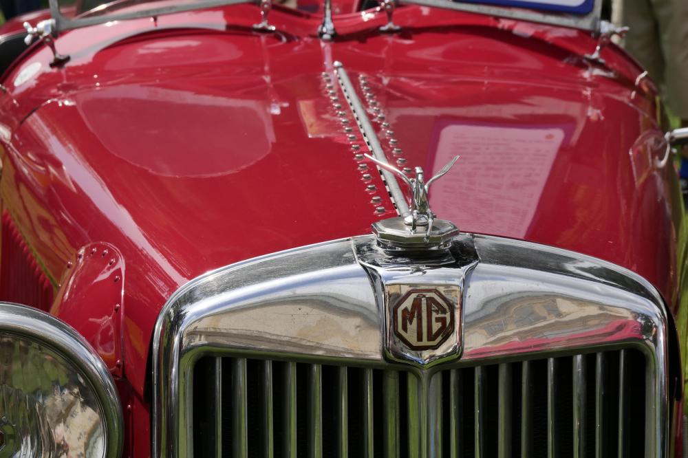 MG.